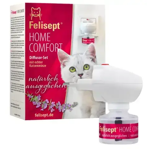 - (Kater, Tierhaltung, Katzenjunges)