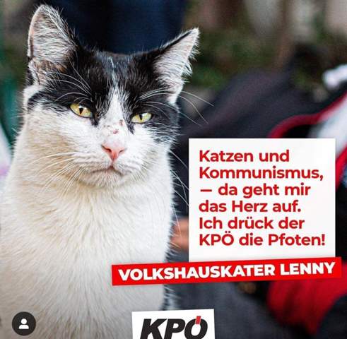 - (Europa, Wahlen, Partei)