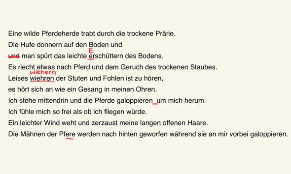 - (Geschichte, Text, Rechtschreibung)