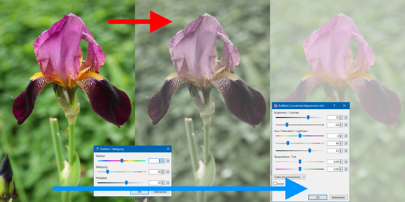 - (Windows, Bilder, Foto)