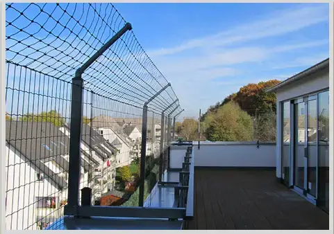 - (Tierhaltung, Hauskatze, Katzenhaltung)