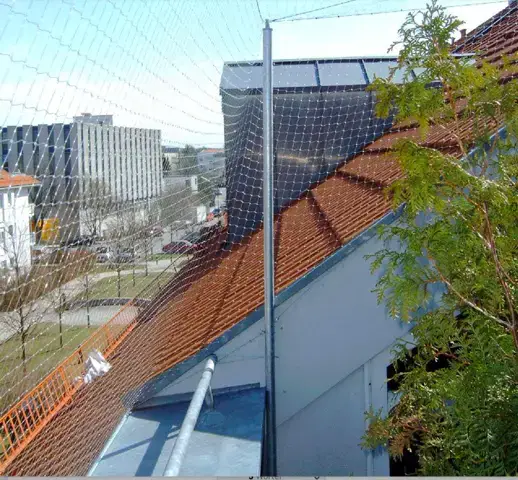 - (Tierhaltung, Hauskatze, Katzenhaltung)