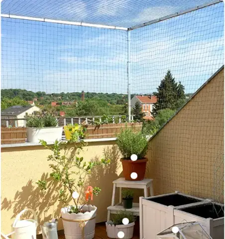 - (Tierhaltung, Hauskatze, Katzenhaltung)