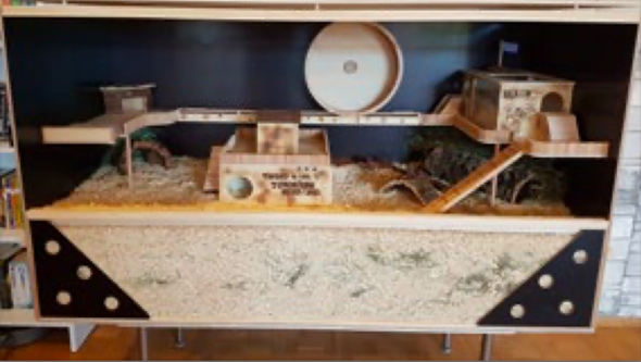 - (Hamster, Nagetiere, artgerechte Haltung)
