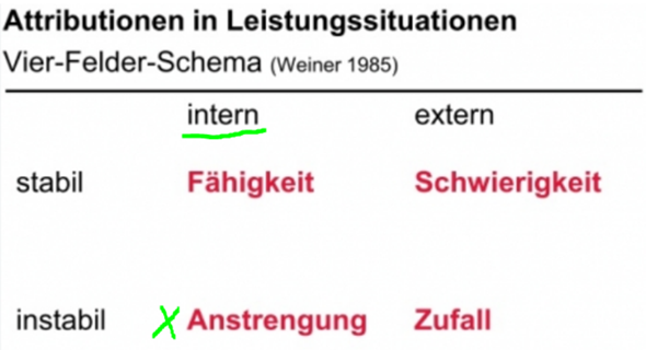 - (Studium, Universität)