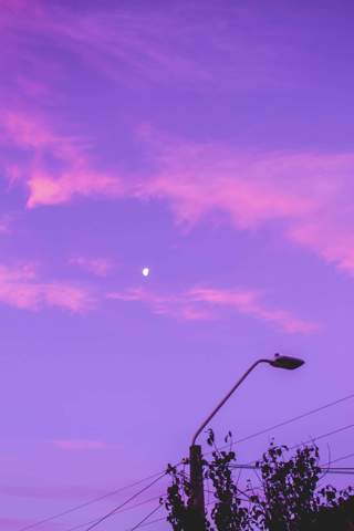 - (Liebe, Lieblingsfarbe)