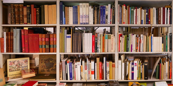 - (Buch, Bücherwurm)