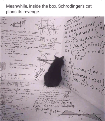 - (Experiment, Quantenphysik, Quantenmechanik)