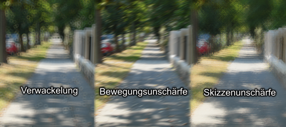 Bild zum Beitrag