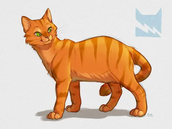 - (Buch, Warrior Cats, Erin Hunter)
