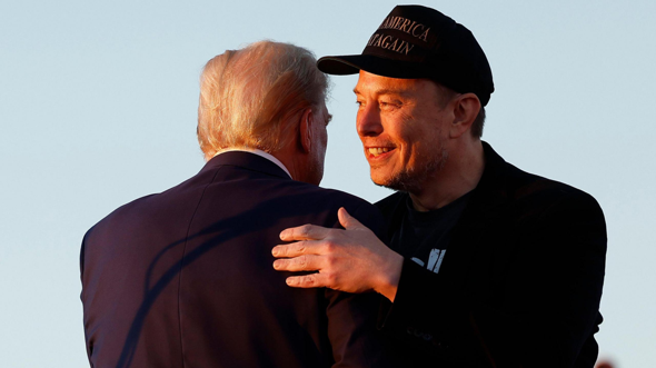 - (Aktien, Trump)