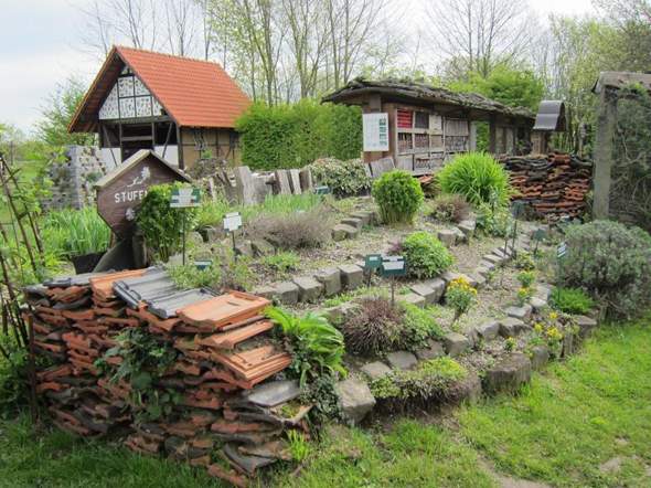 Bild zum Beitrag