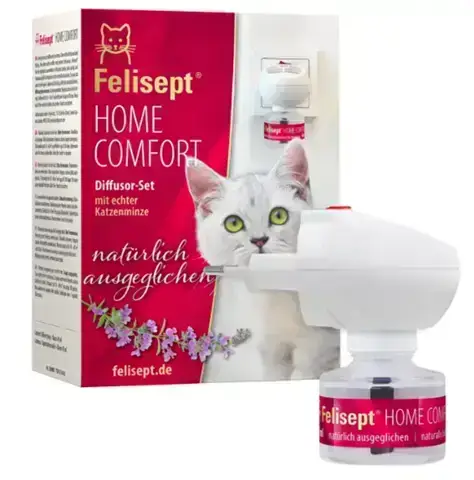 - (Tiermedizin, Hauskatze, Kastration)