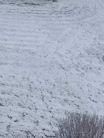 - (Schnee, Regen)