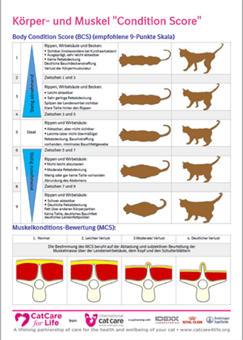 - (Tiermedizin, Hauskatze, Katzenfutter)