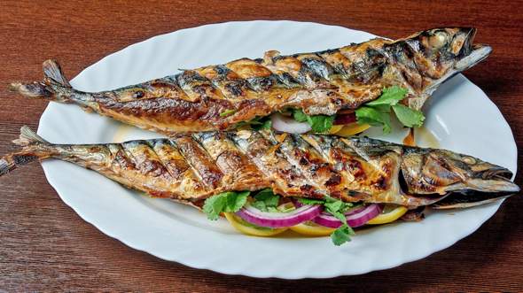 - (lecker, Makrele)