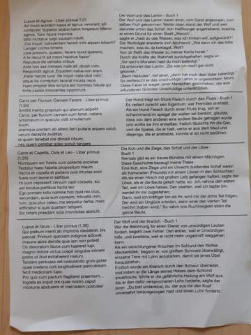 - (Sprache, Lernen, Grammatik)