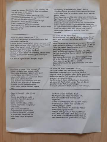 - (Sprache, Lernen, Grammatik)