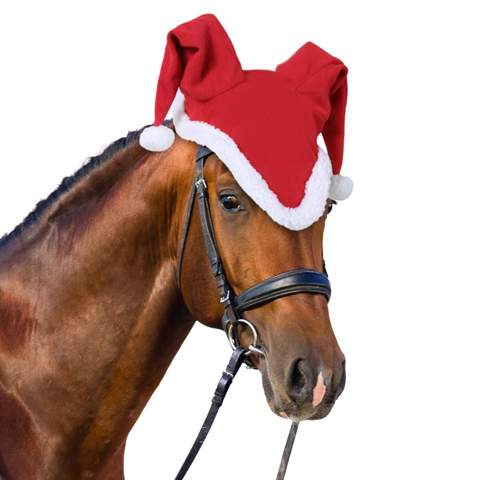 - (Pferd, Weihnachten, Reiten)