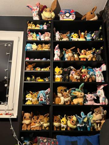 - (Anime, Nintendo, Pokemon)