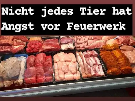 - (Psychologie, Gesellschaft, Humor)