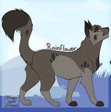 - (Buch, Fantasy, Warrior Cats)