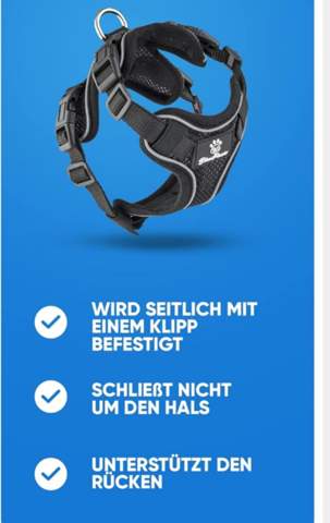 Bild zum Beitrag