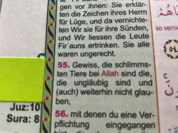 - (Psychologie, Freizeit, Sprache)