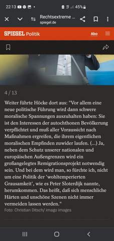 - (Partei, AfD, Rechtsextremismus)
