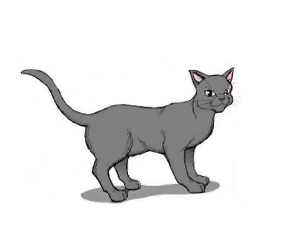 - (Buch, Warrior Cats, Fanfiction)