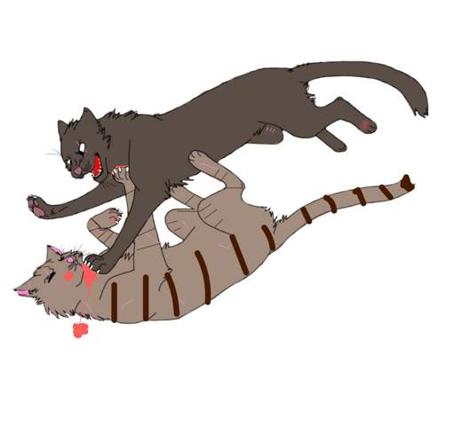 - (Buch, Warrior Cats, Fanfiction)