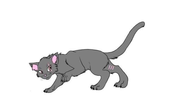 - (Buch, Warrior Cats, Fanfiction)
