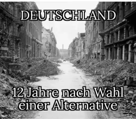 - (Wahlen, Partei, AfD)