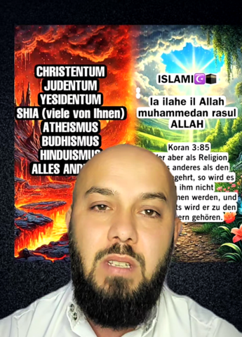 Bild zum Beitrag