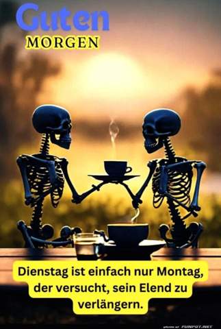 - (Geschenk, Weihnachten, Papier)