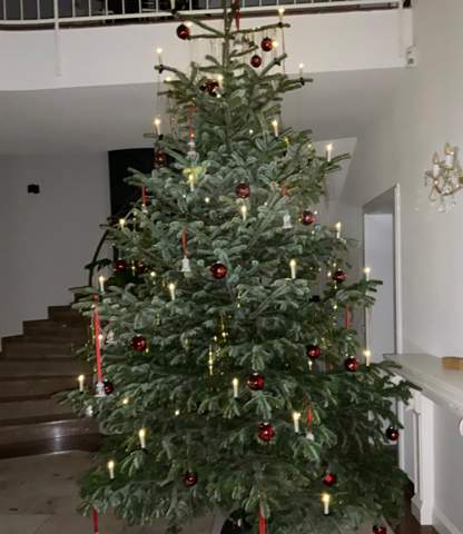 - (Menschen, Weihnachten, Weihnachtsbaum)