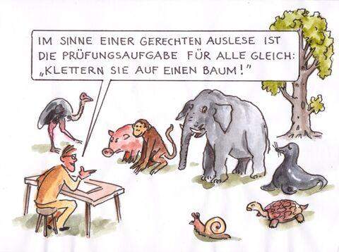 - (Schule, Frauen, Männer)