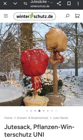 - (gutefrage.net, Weihnachten, Rätsel)