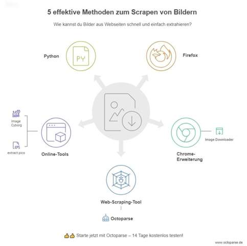 Bild zum Beitrag