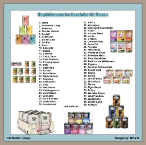 - (Ernährung, Katzenjunges, Tiermedizin)