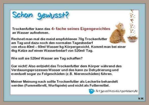 - (Ernährung, Katzenjunges, Tiermedizin)
