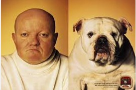- (Haare, Hund, braun)