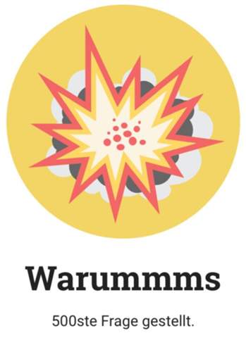 - (Fragestellung, Errungenschaften)