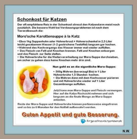 - (Katze, Kater, Tiermedizin)