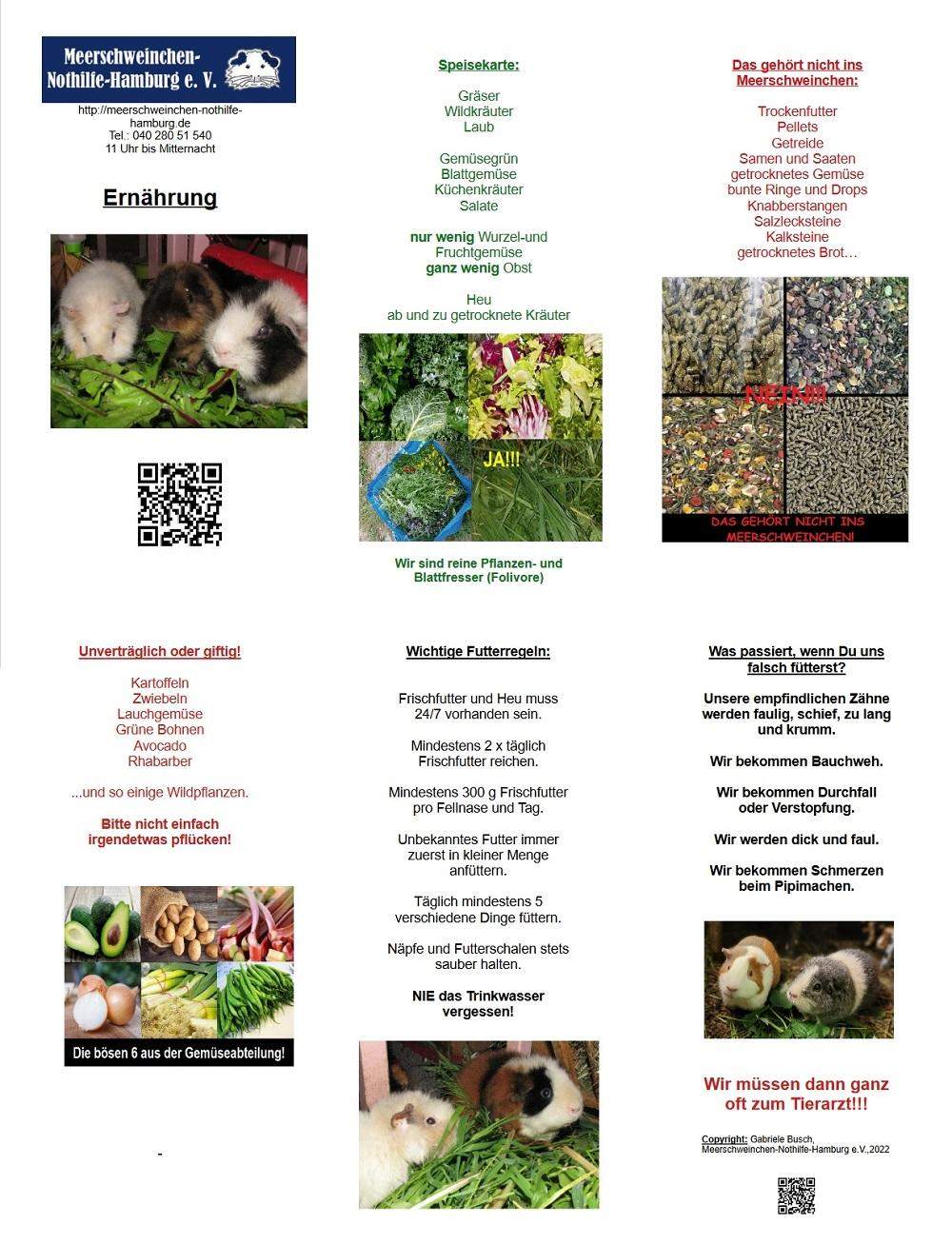 Dürfen Meerschweinchen das essen? (Gesundheit, Ernährung, Futter)