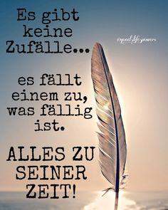 - (Mädchen, Frauen, Jungs)