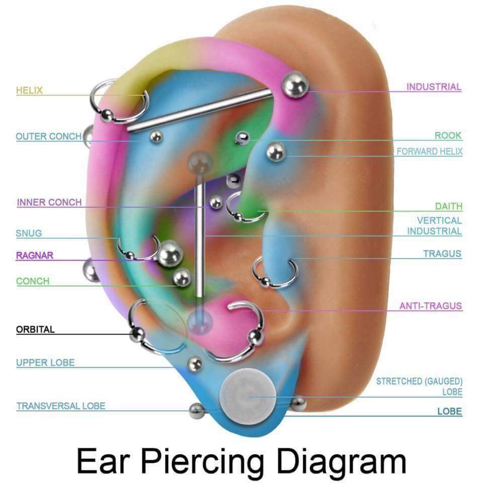 Wie muss man sich ein Helix-Piercing mit stange stechen lassen? (Ohr