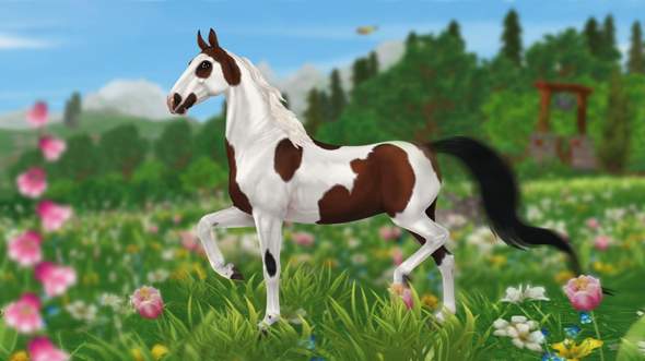- (Star Stable, Starcoins, Star Stable Pferde)