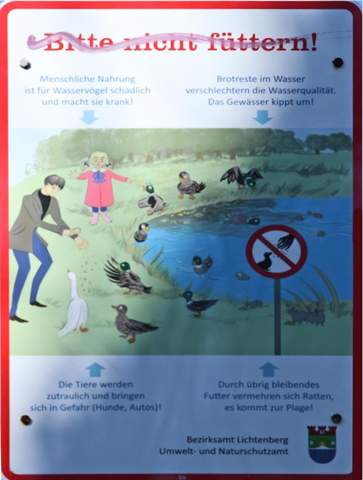 - (Ente, füttern)