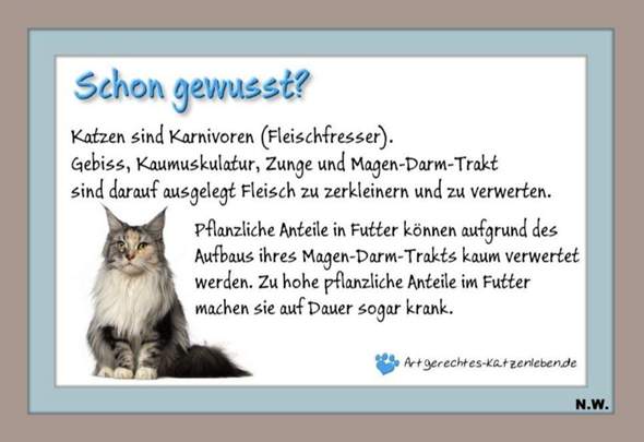 - (Katze, Tiermedizin, Tierschutz)